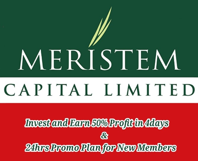MERISTEM CAPITAL LIMITED logo